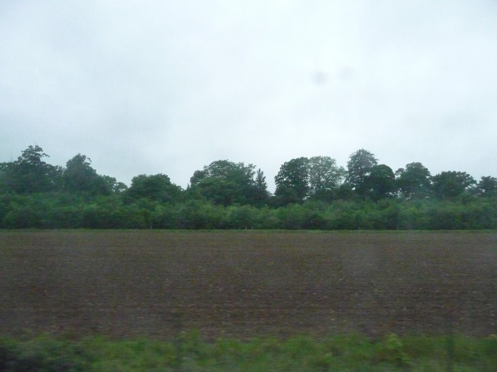 South Hampshire : Ploughed Field by A Photographer