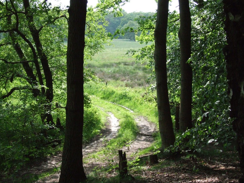 Dötlingen, Huntepadd by mhickl