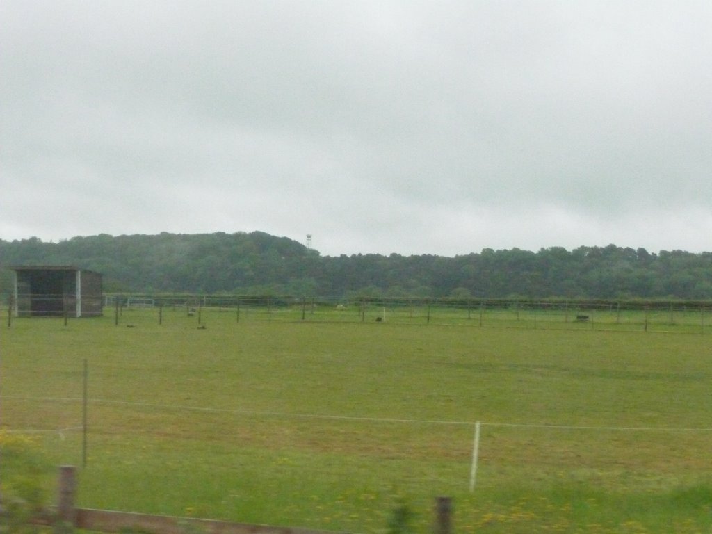 East Dean : Field & Pylon by A Photographer