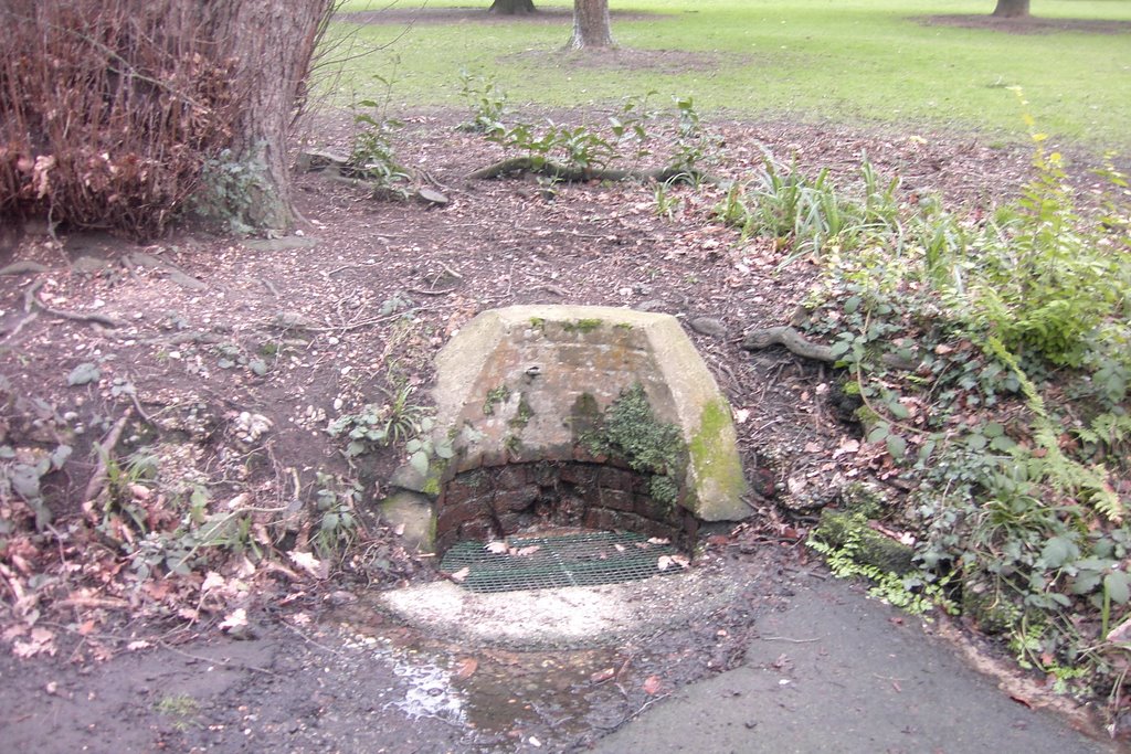 Spring at Alexandra Park Hastings East Sussex UK by captainkeena