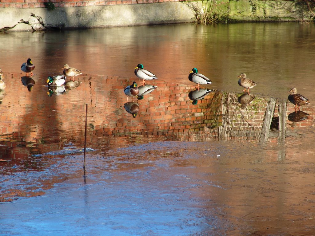 Das erste Loch by Detlef, (dw07)