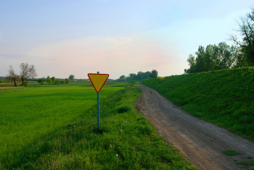 Tarnobrzeg, osiedle Zakrzów by Mateusz Bąk