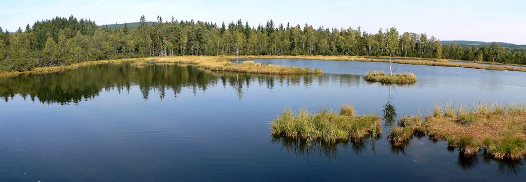 Šumava - Chalupská Slať - jezírko by Sladkovský