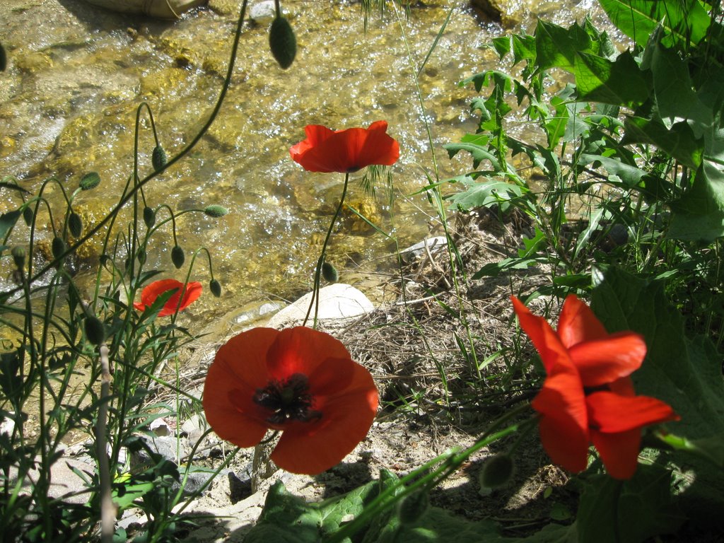 Beypazarı, Ankara, Turkey by Fatma Demir