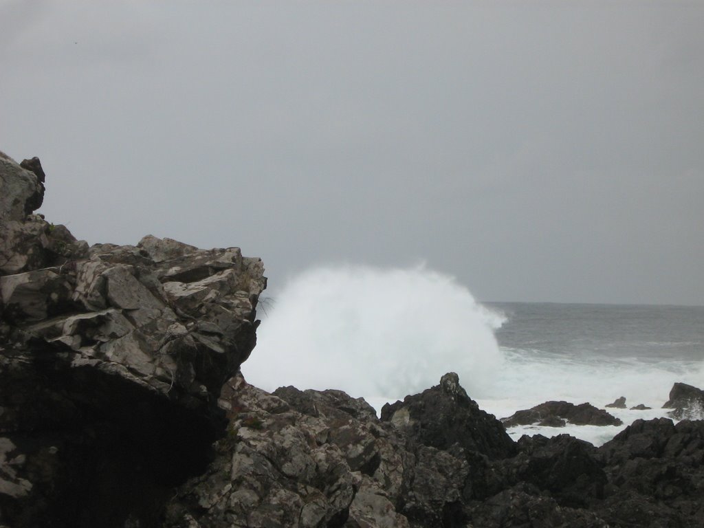 Wild Pacific Ocean by Gordon Niamath