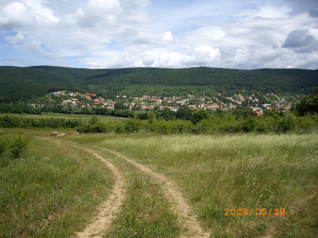 Pilisszentkereszt, Hungary by Verőczi Zoltán