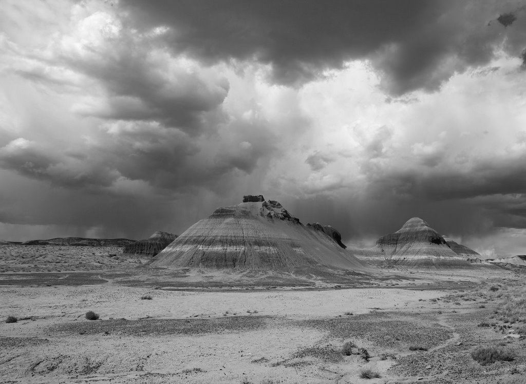 The Teepees by D.M. Thorne