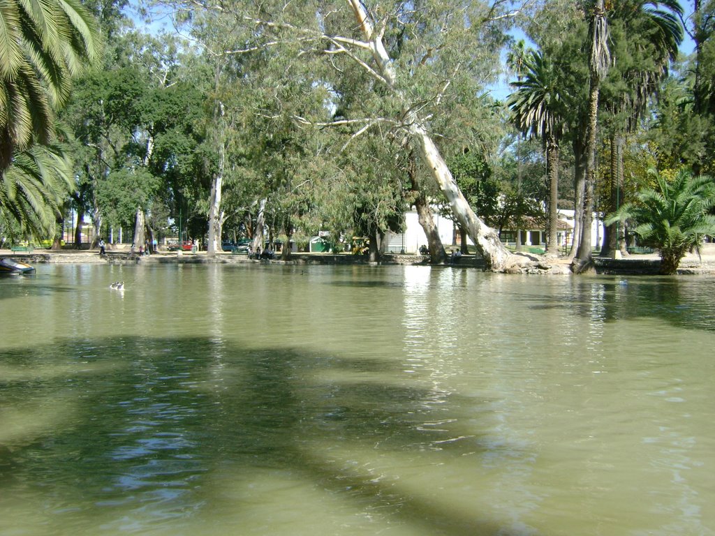 En el Lago del Parque San Martin by villamayor2008