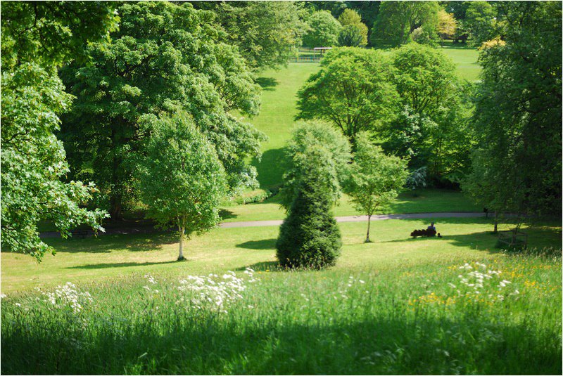 Sunderland Backhouse Park by somaliayaswan