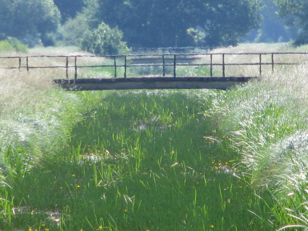 Grüner Kanal by Heiner F.