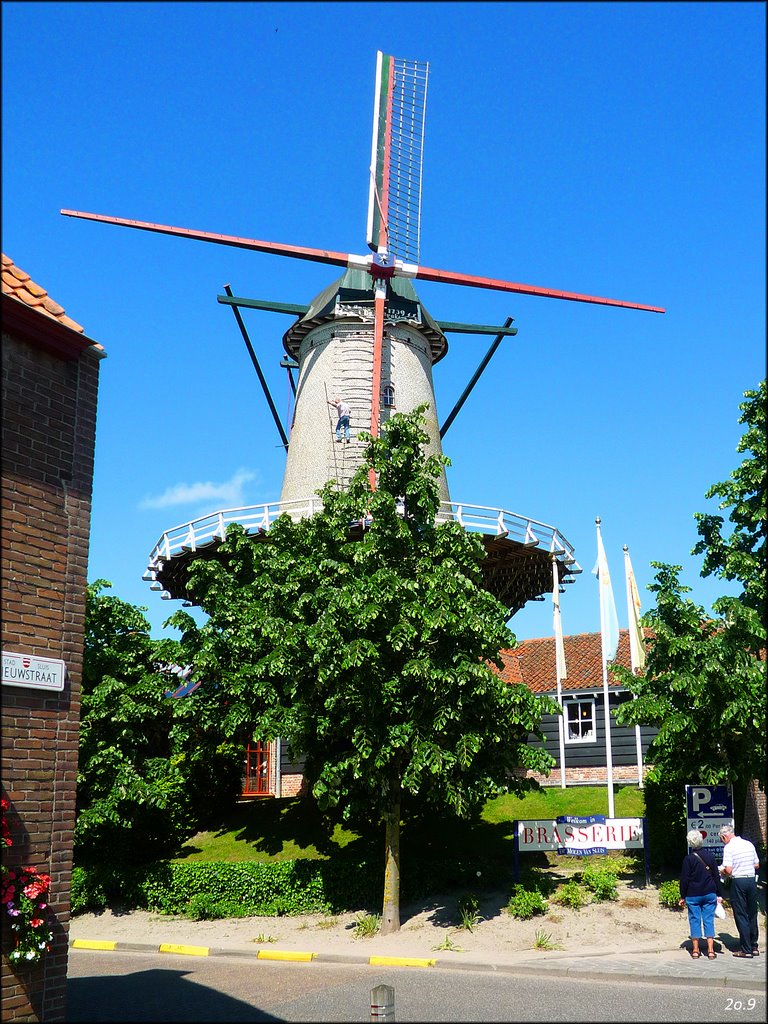 Molen Sluis by © panoramio. g_