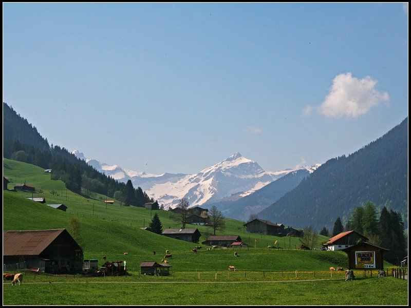 Saanen, Switzerland by 尼尔伯