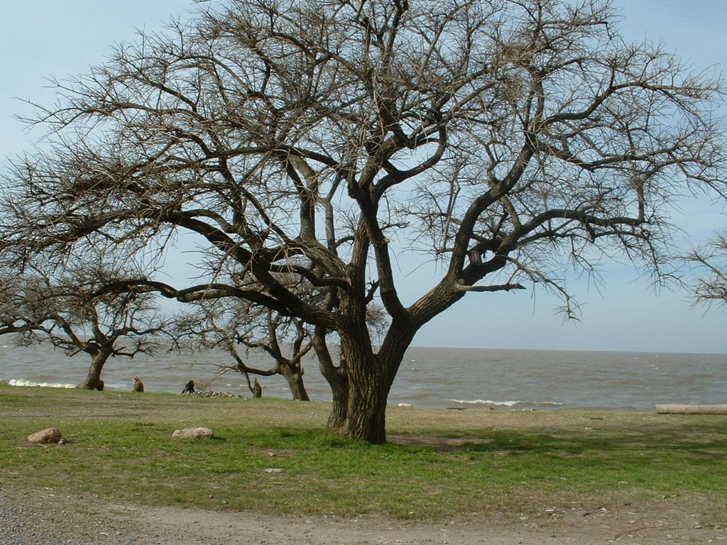 La Reserva Ecológica - Vista del Río by zerkalo79