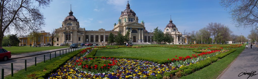 Széchenyi Fürdő by Váradi Balázs