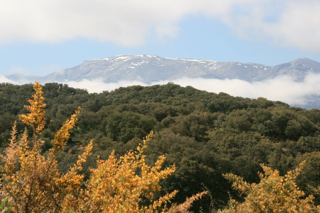 Blick zur Sierra deTejeda by ZiKlaus