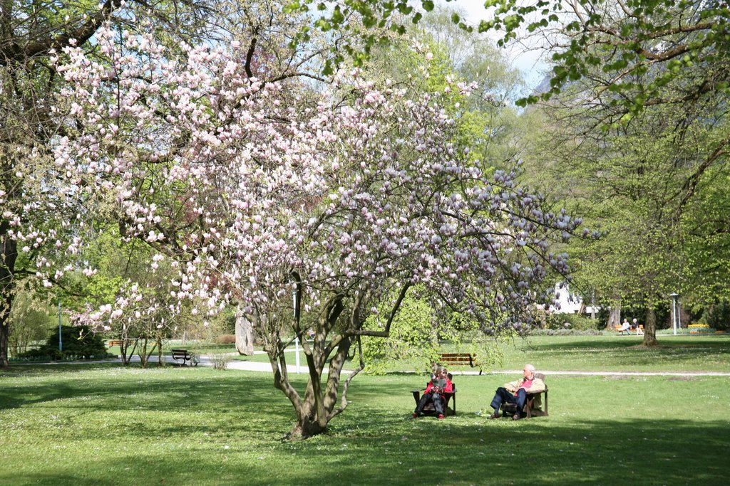 Kurpark, Garmisch-Partenkirchen, Oberbayern, Bayern, Deutschland by Hans Sterkendries