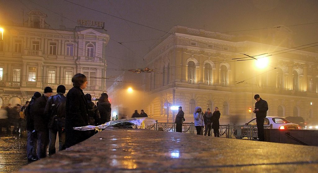 Frog - Under termometer. Feb 2007 by Taras Kushnirenko