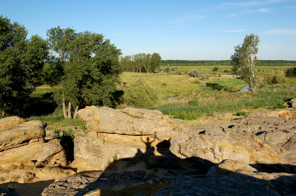 Kamennaya mogyla Petroglyphs ) by V.Pokrasenko