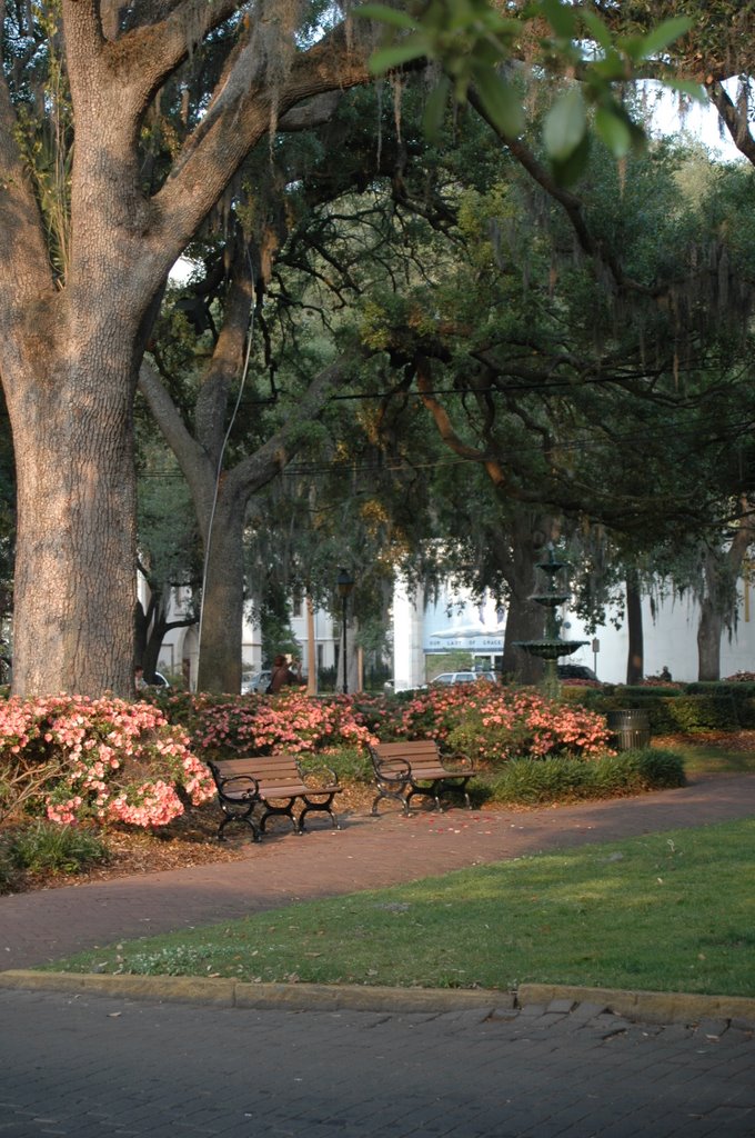 Savannah, Lafayette Square by Dave Edwards