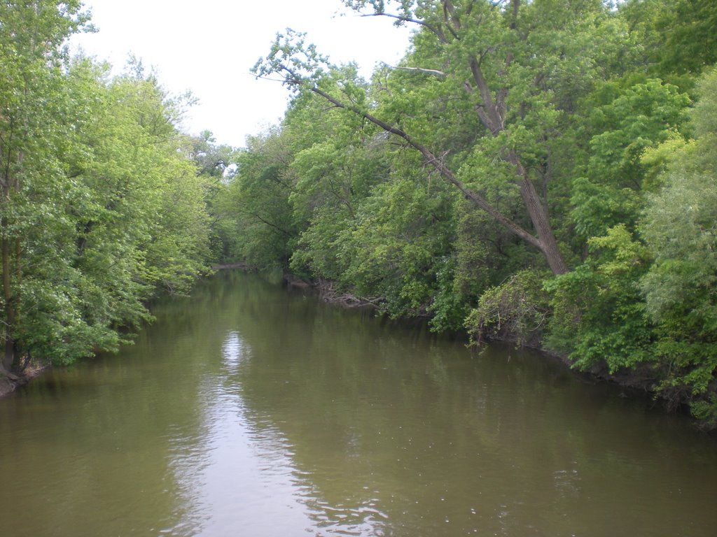 Chicago River North Branch by Leskra