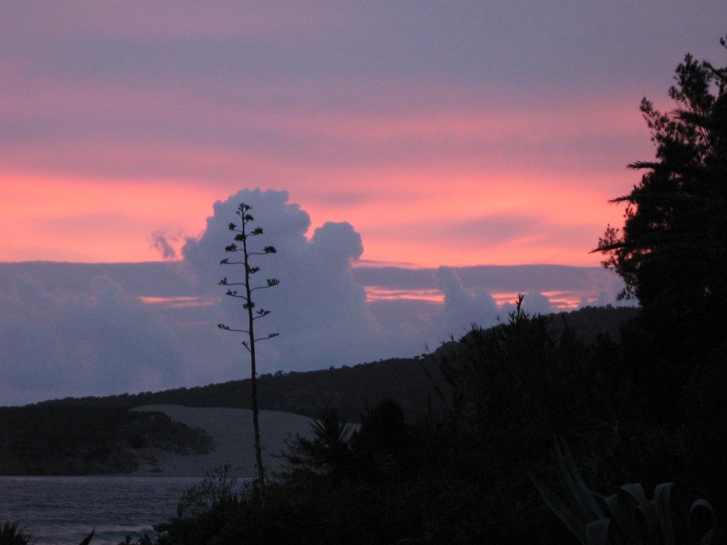 Bolonia at Sunset by Lurditaa