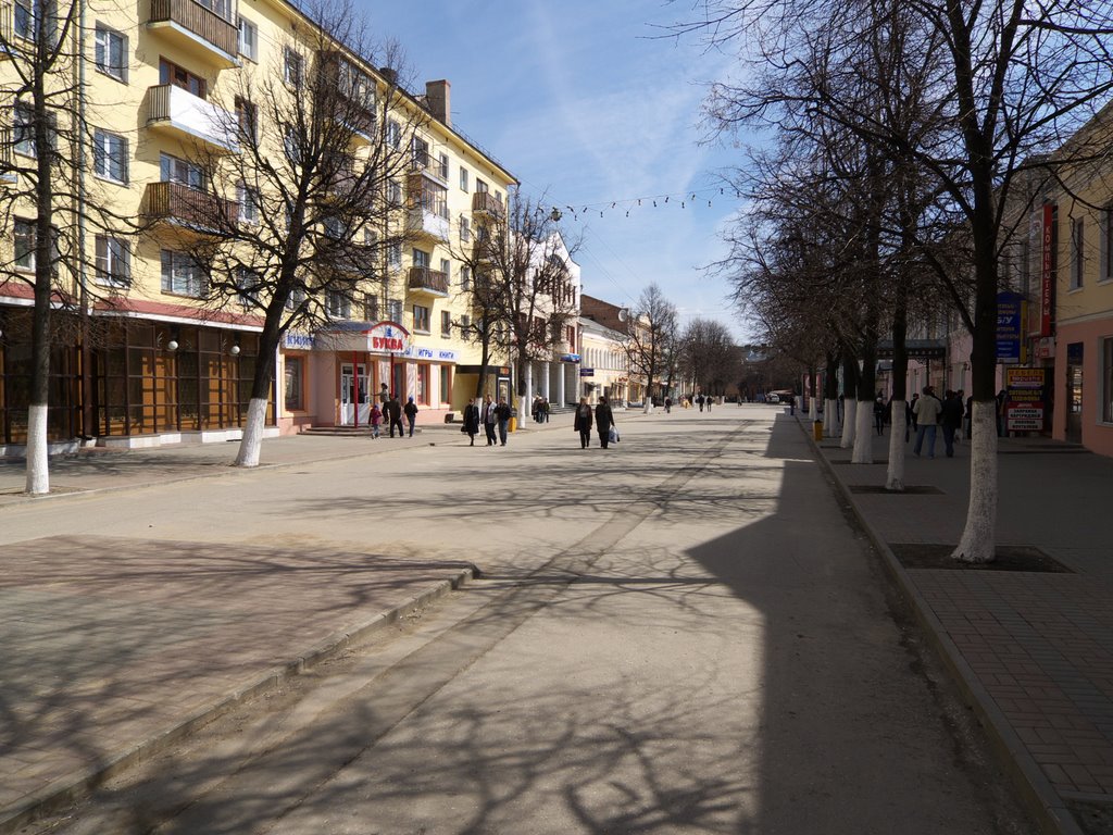 Ryazan. Pochtovaya street. Рязань. Почтовая ул. by pbykov