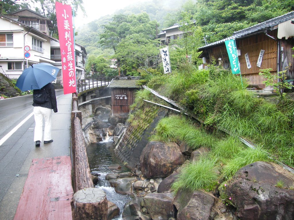 湯の峰温泉つぼ湯 by F.Y.