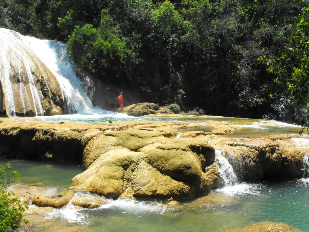 CASCADAS DE AGUA AZUL 5 by Jaime Antonio Cardon…