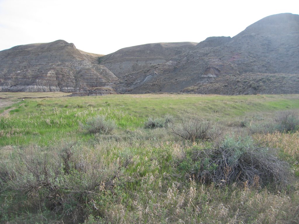 The Open Range And Badlands Canyon Slopes at Starland Recreation Area North of Drumheller, AB by David Cure-Hryciuk