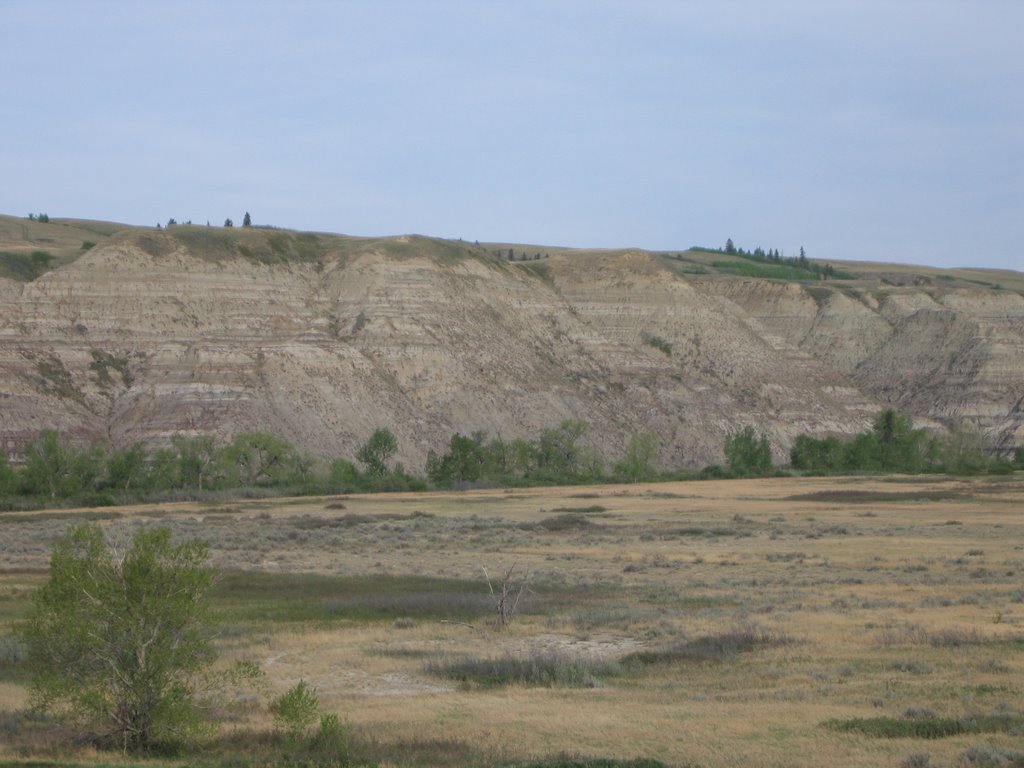 Dry Desert Shrublands With Cottonwoods Below - Badlands Scenery at Starland Recreation Area North of Drumheller, AB by David Cure-Hryciuk