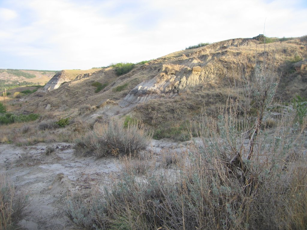 The Desert, Sage Brush And Rocky Slopes in the Badlands at McKenzie Crossing North of Drumheller, AB by David Cure-Hryciuk