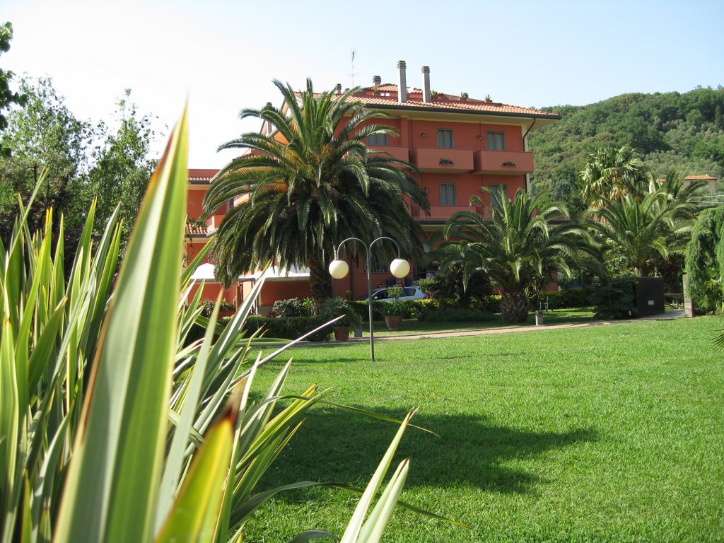 View towards hotel from pool area. by matli