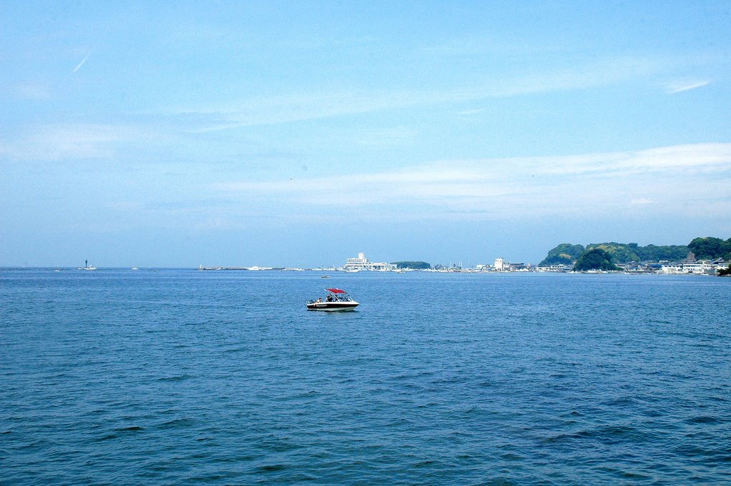 陸上自衛隊武山駐屯地から小田和湾(Odawa bay from JGSDF Takeyama post) by 9m2ji1etu