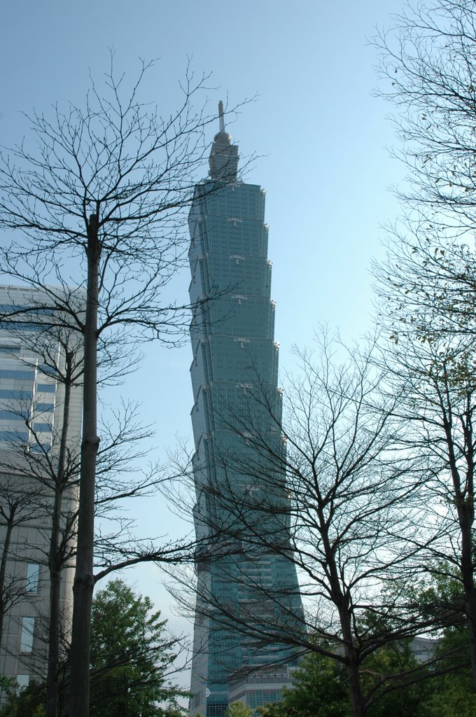 Taipei 101 by Kim Chang