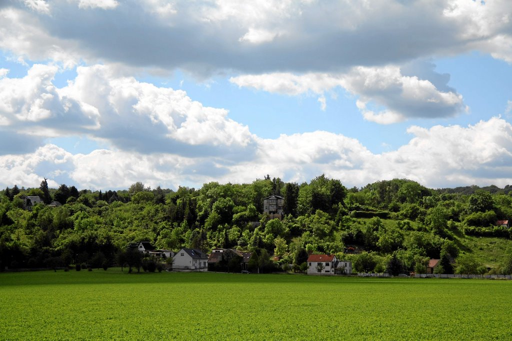 Weinberge by A.Flint