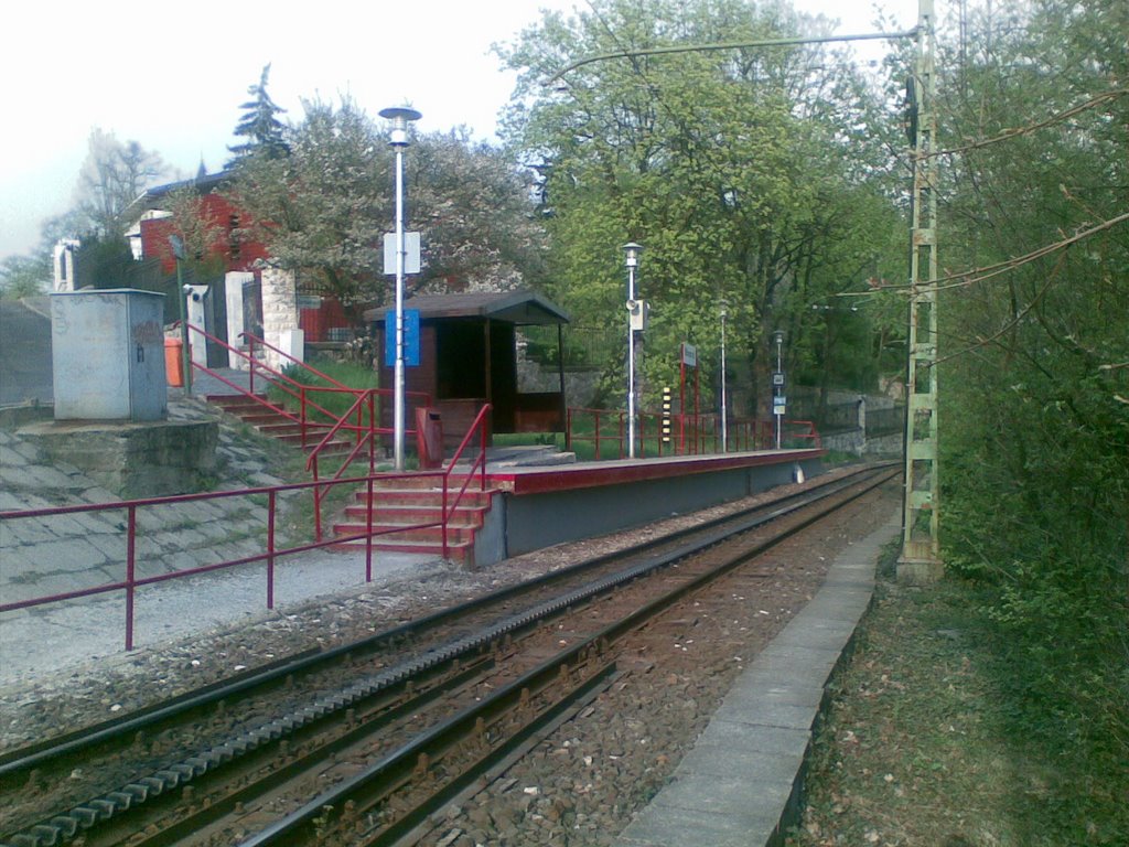 Művész út, fogaskerekű-állomás / Cogwheel railway station by hdanee