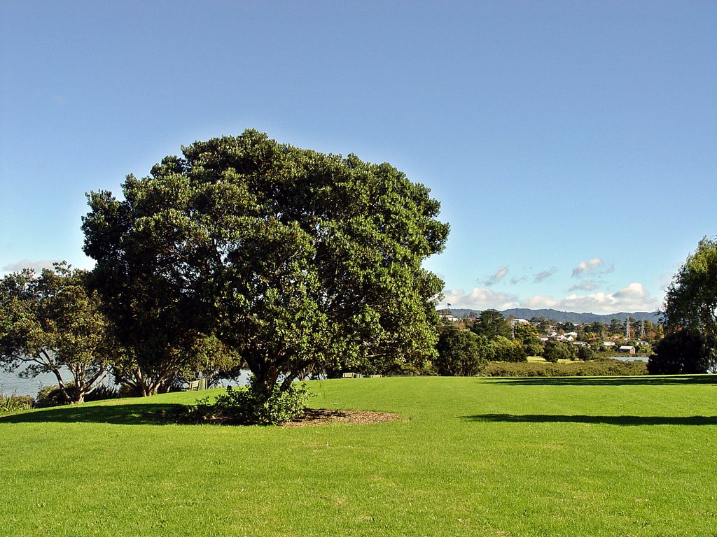 Small park next to Whau River in Avondale by andorraliechtenstein