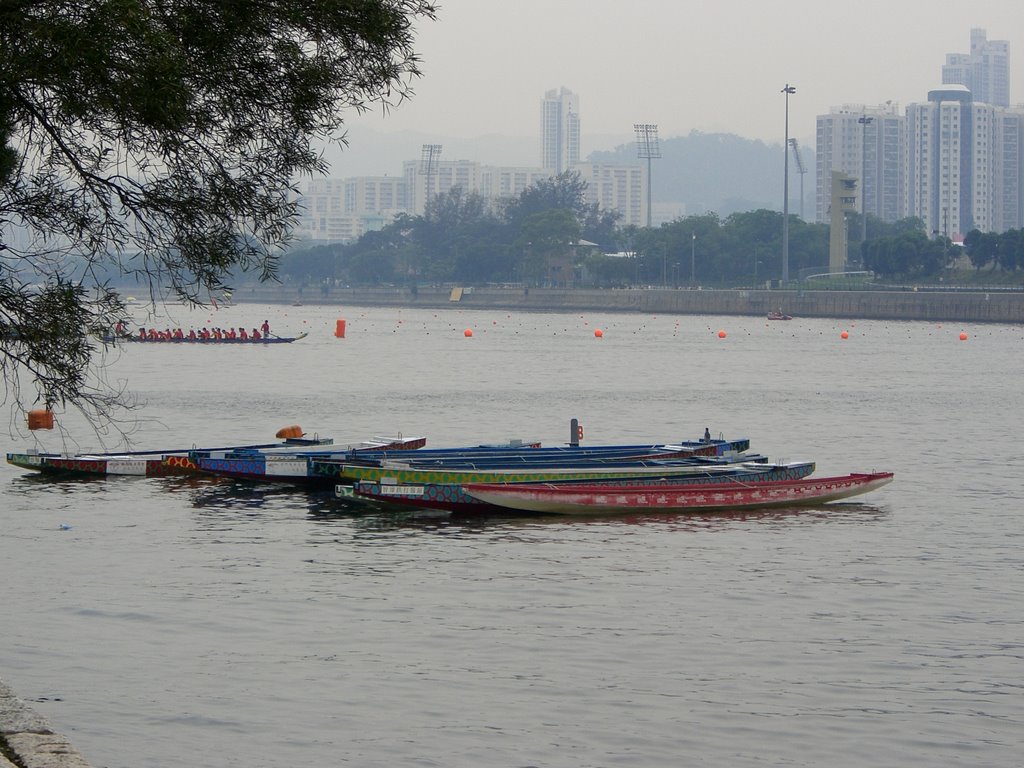 Dragon Boat Festival by jeff_msn123