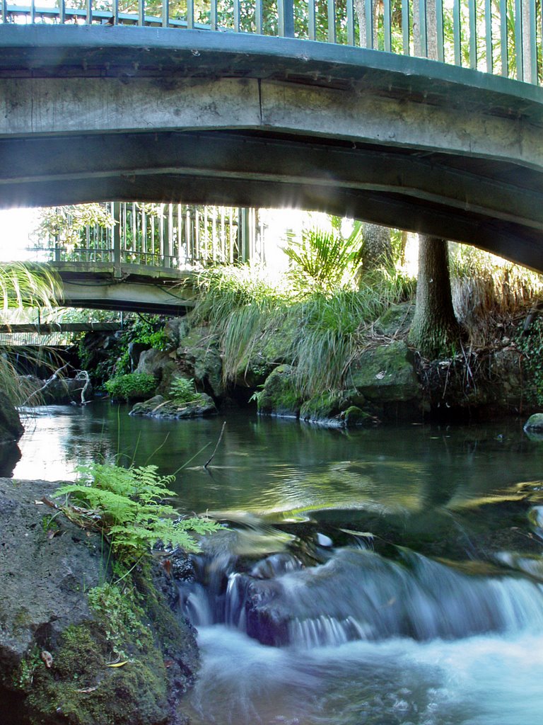 Under the bridge, Western Springs park. by andorraliechtenstein