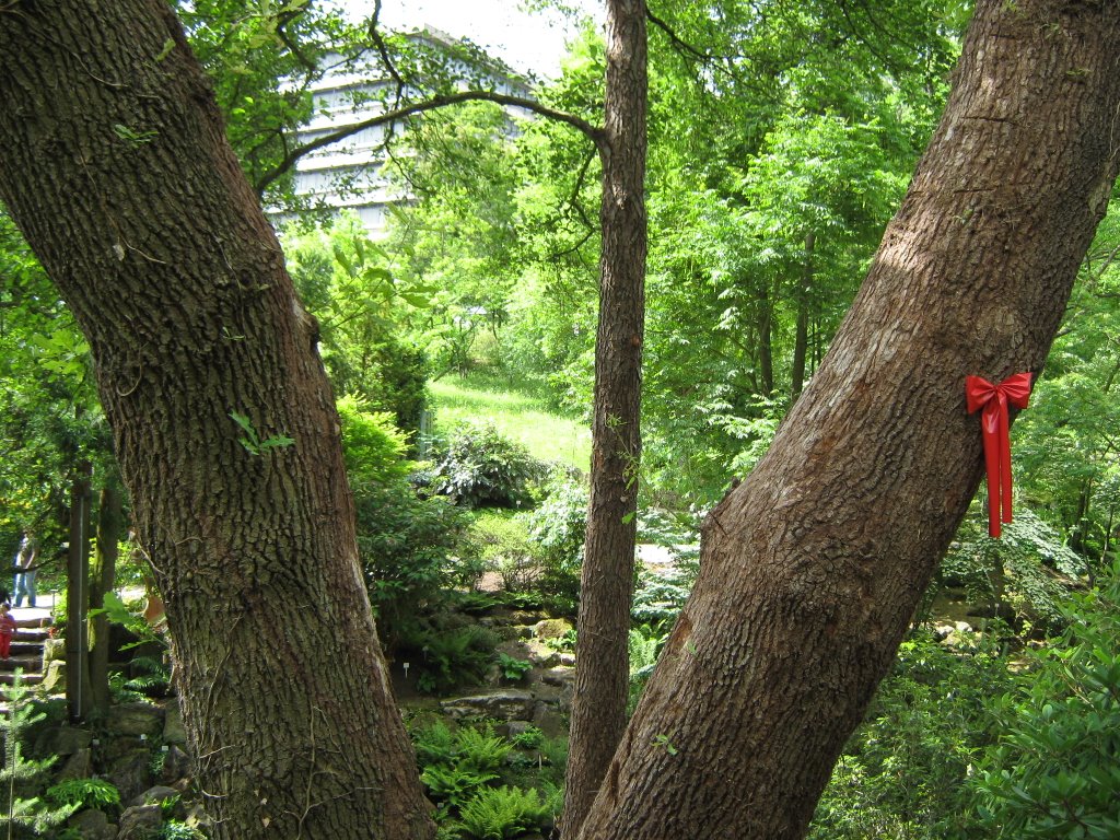 By Werner Rathai -Botanical Garden Tübingen by WEOSRA