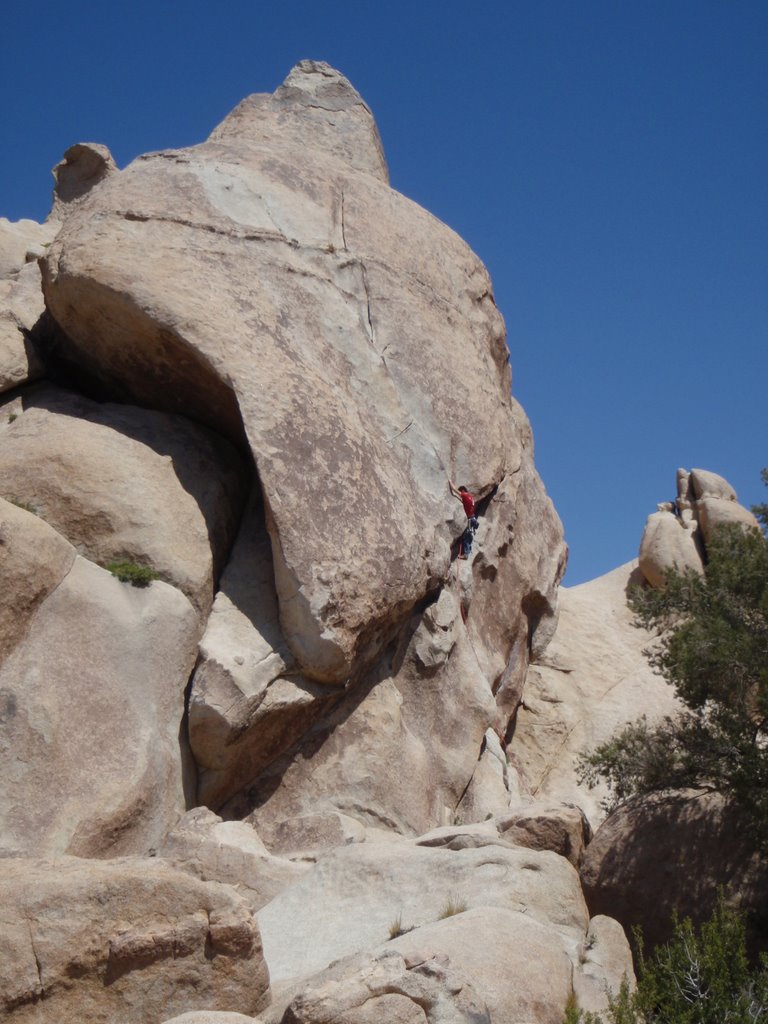 Lazy Day, Hall of Horrors, JTNP by Roger Harris