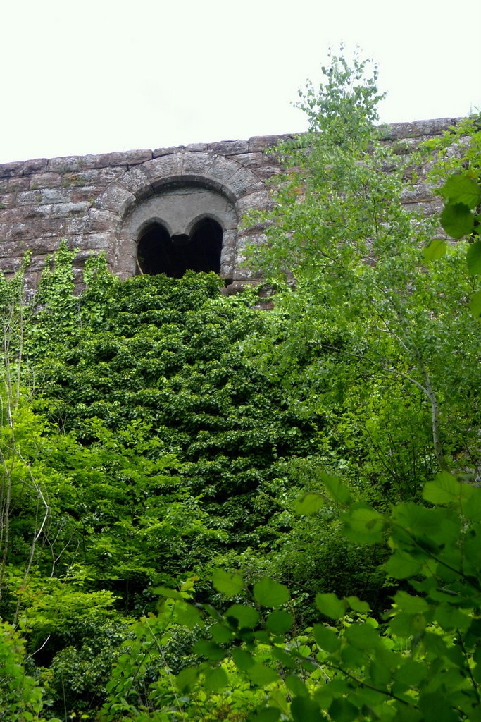 Außenwand des Palas, Burgruine Lindelbrunn by Der SIGGY