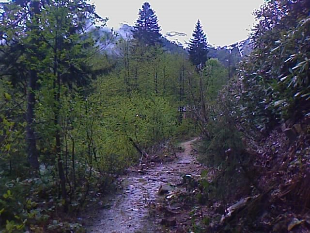 Artvin Borçka Karagöl ( Artvin Borcka Karagol ) by Mehmet Naci ÜLGER