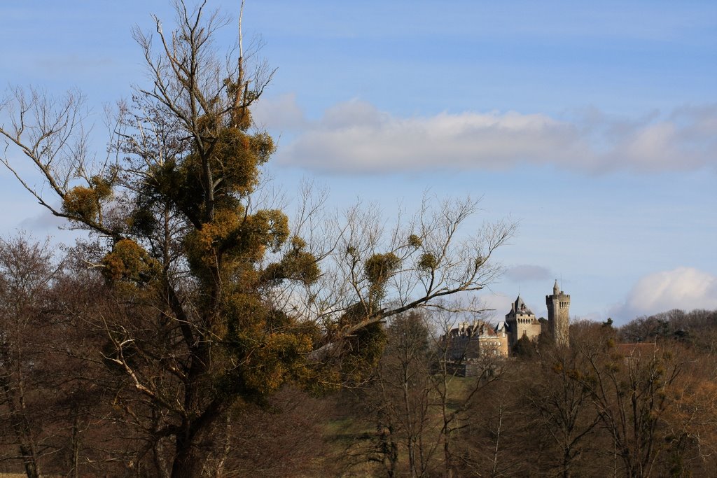 Blanzy Castle by blusky74