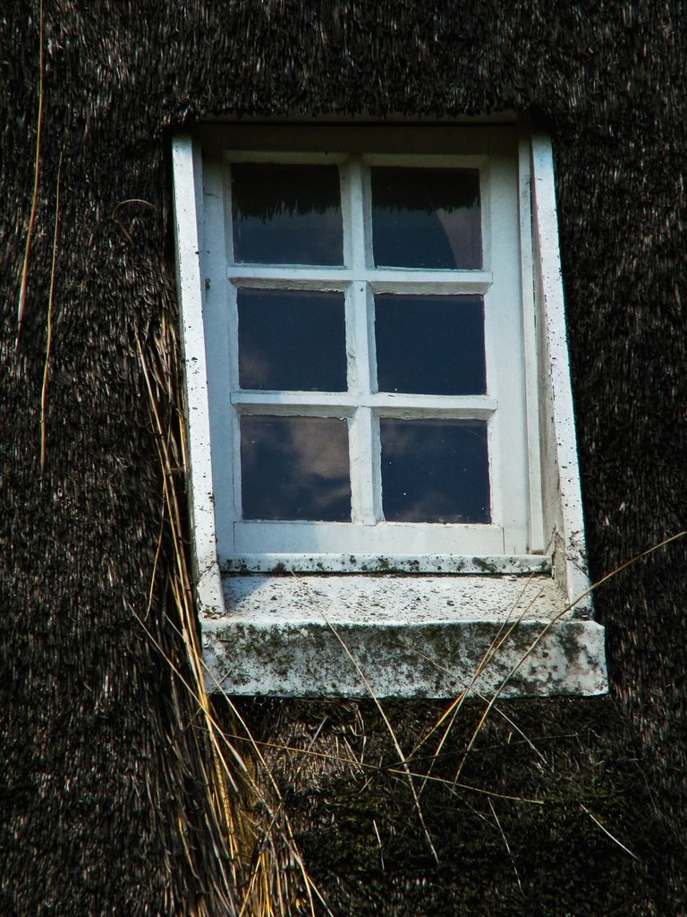 Korenmolen 'Laurentia' (1893), Milheeze by mzw a.k.a. uaf