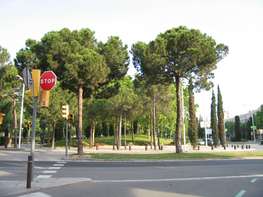 Jardines en la Vila Olimpica Barcelona Junio 2009 by juan palazon navarro