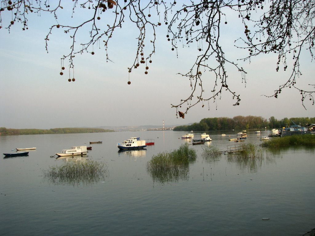 Zemun kej by sranzo