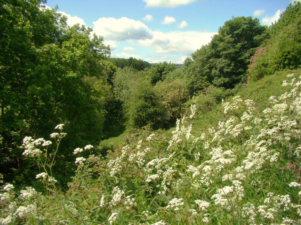 Loxley Valley in late spring, Sheffield S6 by sixxsix