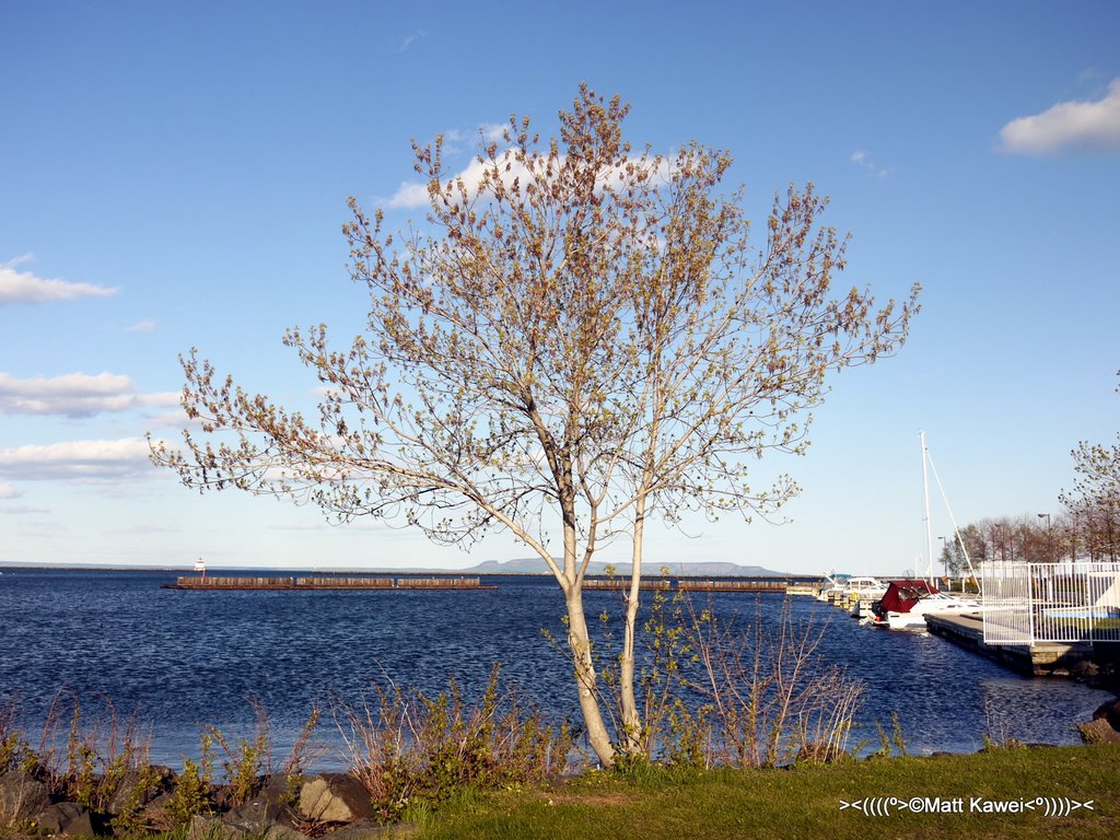 Mooring dock, Marina Park by E4N Photography