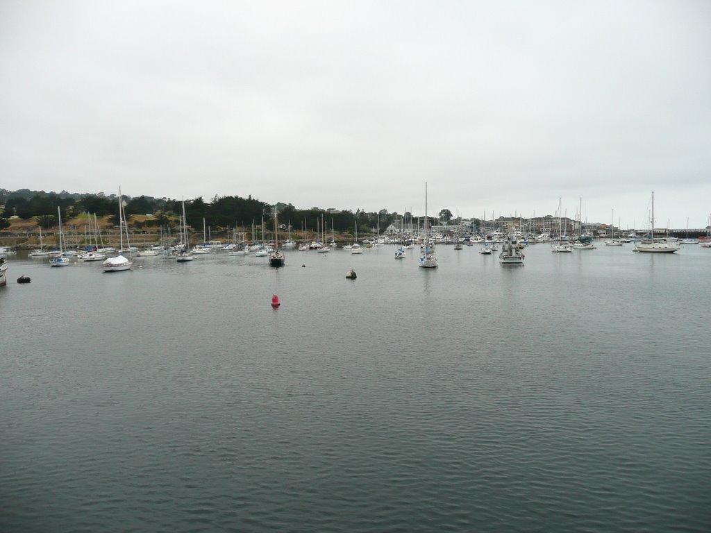 Monterey Harbor by BribytheC